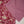 Load image into Gallery viewer, Rozi - Exclusive Khaddar Outfit with  Shawl - Ready to Wear - PD149
