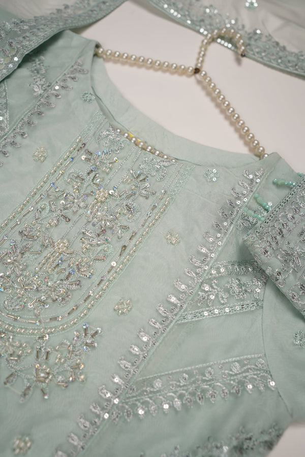 Tehwar - Luxury Festive Collection - Ready to Wear - Tehv10d3