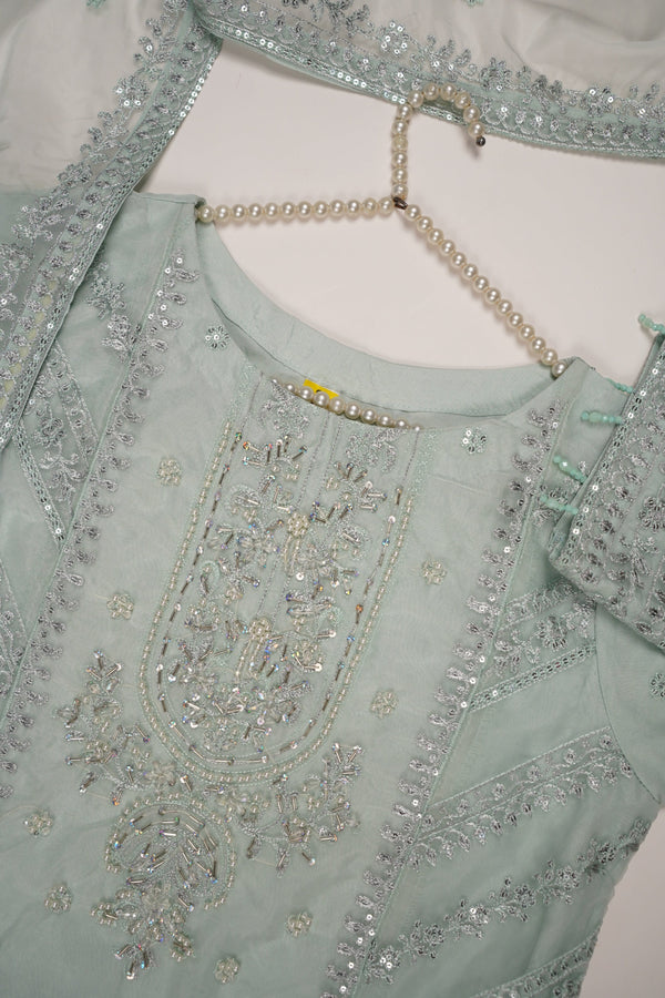 Tehwar - Luxury Festive Collection - Ready to Wear - Tehv10d3