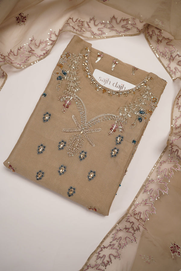 Tehwar - Luxury Festive Collection - Ready to Wear - Tehv10d1