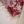 Rozi - Exclusive Khaddar Outfit with  Shawl - Ready to Wear - PD151