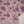 Rozi - Exclusive Khaddar Outfit with  TarKashi Dupatta- Ready to Wear - PD158