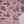 Load image into Gallery viewer, Rozi - Exclusive Khaddar Outfit with  TarKashi Dupatta- Ready to Wear - PD158
