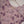 Load image into Gallery viewer, Rozi - Exclusive Khaddar Outfit with  TarKashi Dupatta- Ready to Wear - PD158
