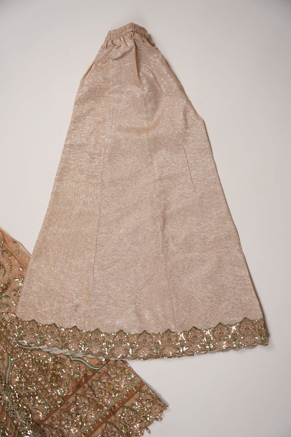 Husan e Jahan - Luxury Festive Collection with Crushed Sharara - Ready to Wear - SB-221