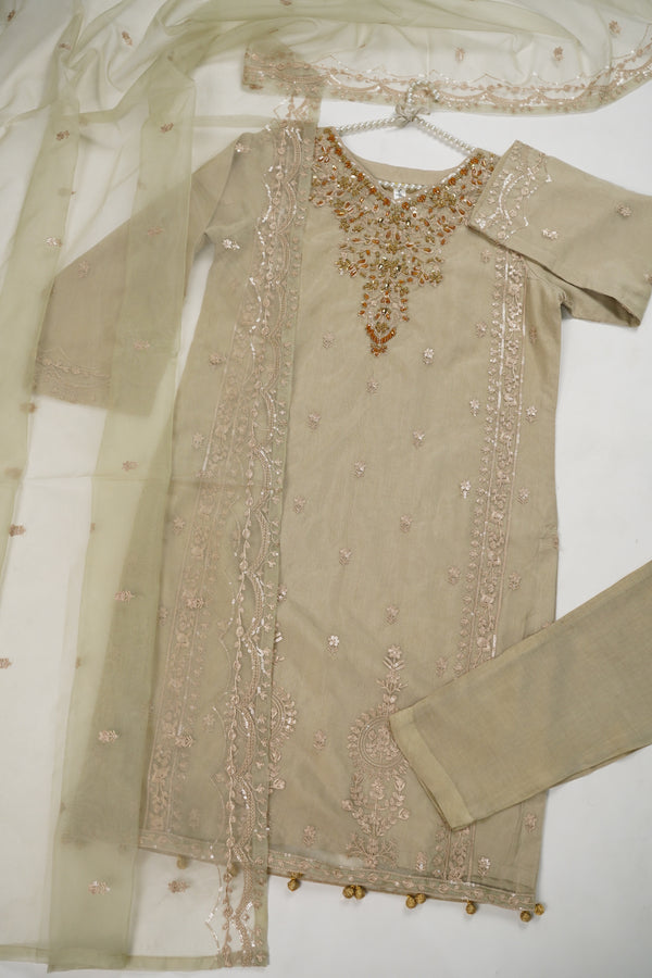 Tehwar - Luxury Organza Outfit - Festive Collection - Ready to Wear - V4 - D2 - Eid25 - 02