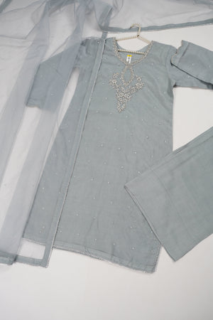 Khaas - Luxury Organza Outfit - Hand Work - Ready to Wear MC296 - Eid Volume 4