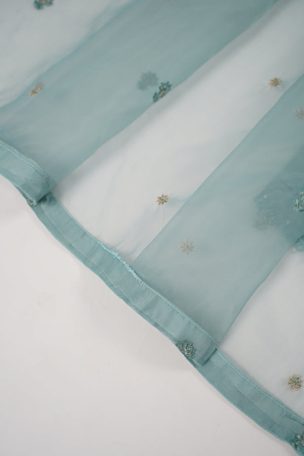 Tehwar - Luxury Organza Outfit with Organza Dupatta - Ready to Wear MC286- Eid Volume 4