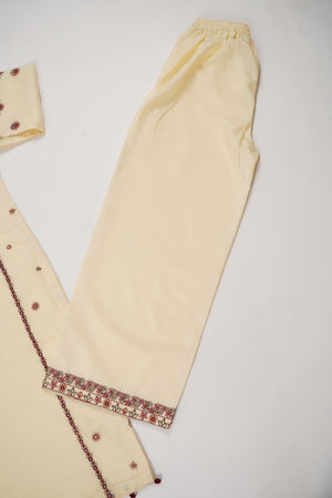 Tehwar - Luxury Organza Outfit with Organza Dupatta - Ready to Wear SD442