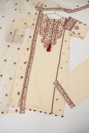 Tehwar - Luxury Organza Outfit with Organza Dupatta - Ready to Wear SD442