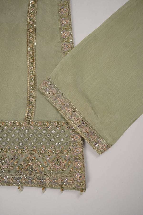 Tehwar - Luxury Organza Outfit with Organza Dupatta - Ready to Wear MC285- Eid Volume 4