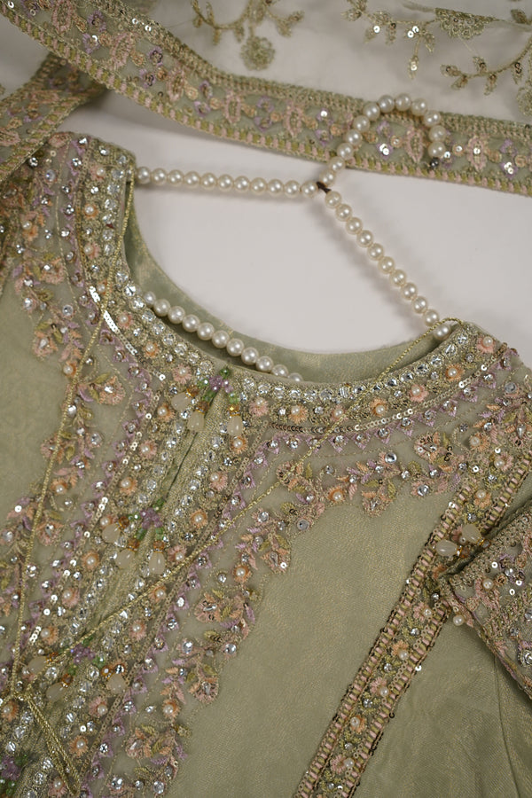 Tehwar - Luxury Organza Outfit with Organza Dupatta - Ready to Wear MC285- Eid Volume 4