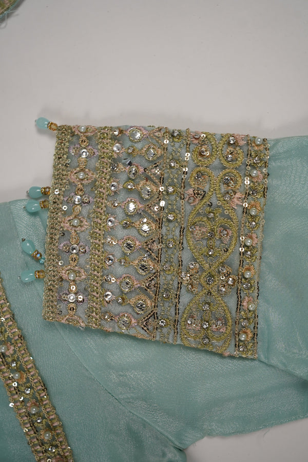 Tehwar - Luxury Organza Outfit with Organza Dupatta - Ready to Wear MC283- Eid Volume 4