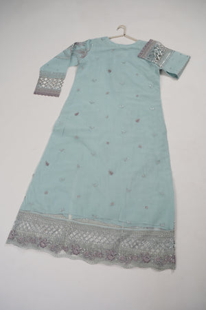 Tehwar - Luxury Organza Outfit with Organza Dupatta - Ready to Wear MC291- Eid Volume 4