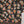 Bin Saeed by SajhDajh - Exclusive Khaddar Outfit with  Shawl - Ready to Wear - PD166