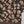 Load image into Gallery viewer, Bin Saeed by SajhDajh - Exclusive Khaddar Outfit with  Shawl - Ready to Wear - PD166
