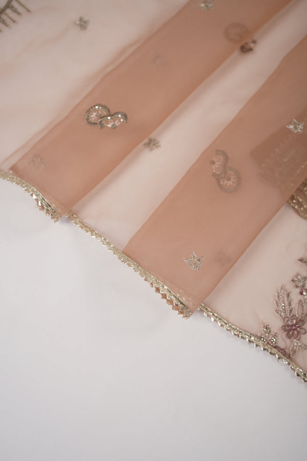 Tehwar - Luxury Organza Outfit with Organza Dupatta - Ready to Wear MC295- Eid Volume 4