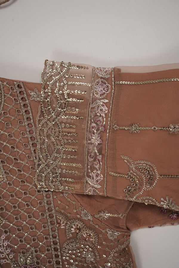 Tehwar - Luxury Organza Outfit with Organza Dupatta - Ready to Wear MC295- Eid Volume 4