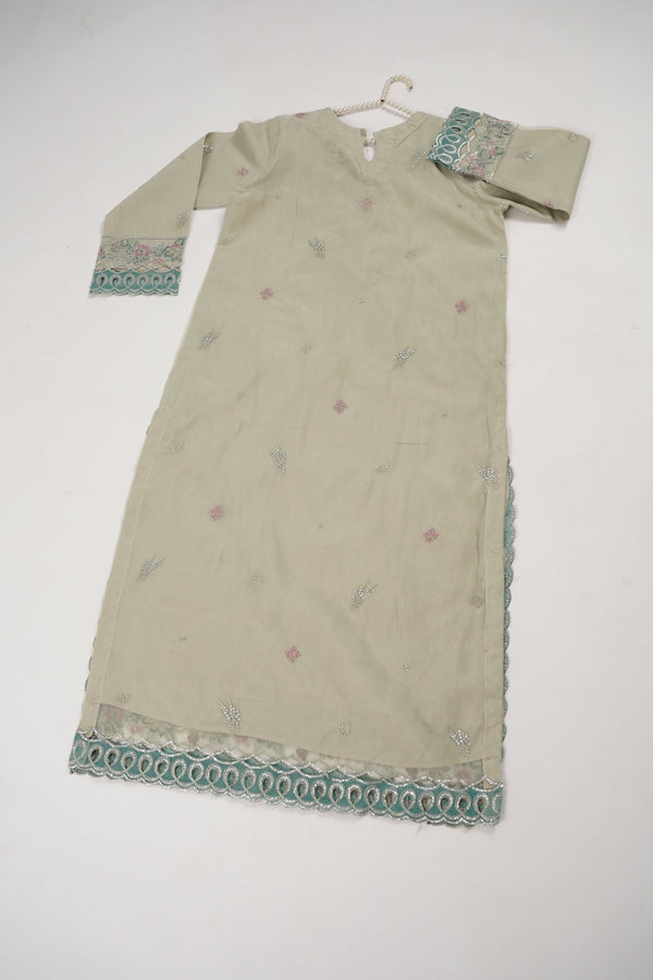 Tehwar - Luxury Organza Outfit with Organza Dupatta - Ready to Wear MC294- Eid Volume 4