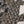 Bin Saeed by SajhDajh - Exclusive Khaddar Outfit with  Shawl - Ready to Wear - PD165