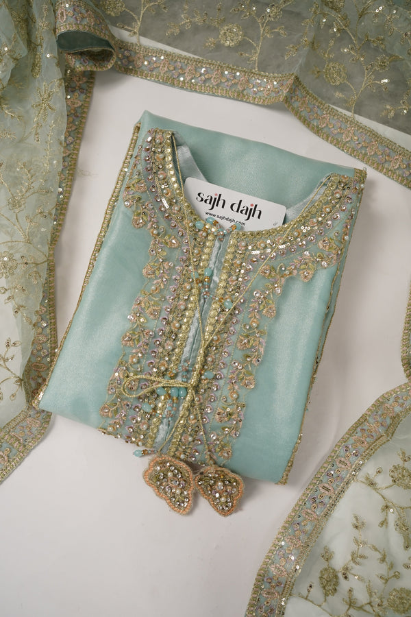 Tehwar - Luxury Organza Outfit with Organza Dupatta - Ready to Wear MC283- Eid Volume 4