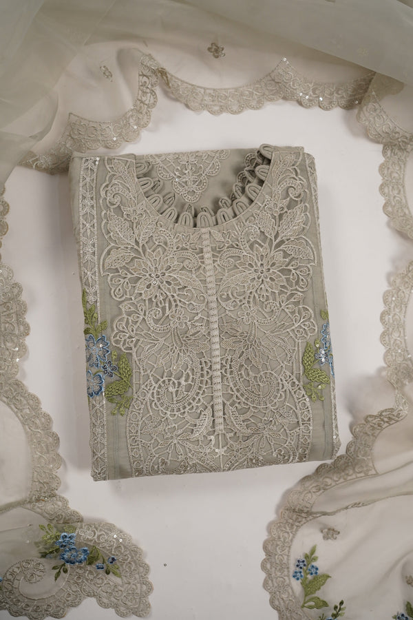 Tehwar - Luxury Organza Outfit with Organza Dupatta - Ready to Wear MC288- Eid Volume 4