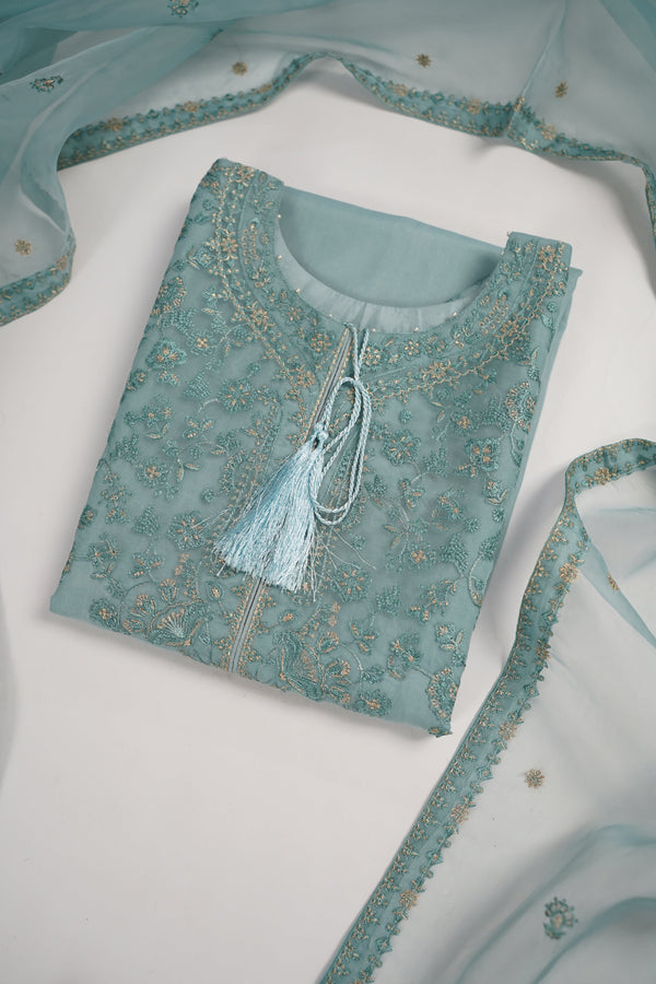 Tehwar - Luxury Organza Outfit with Organza Dupatta - Ready to Wear MC286- Eid Volume 4