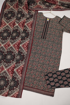 Bin Saeed by SajhDajh - Exclusive Khaddar Outfit with  Shawl - Ready to Wear - PD170