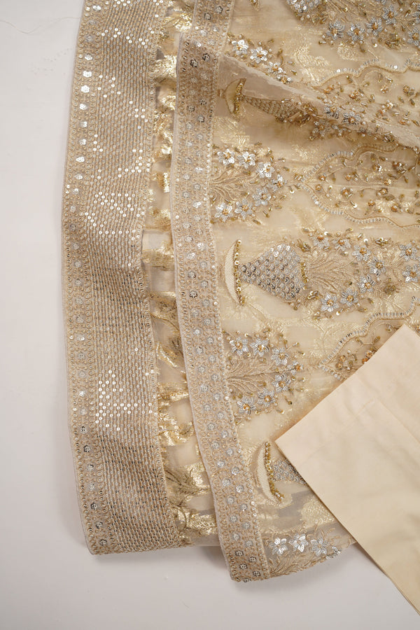 Tehwar - Luxury Organza Maxi  Outfit with Organza Dupatta - Ready to Wear MC297- Eid Volume 4