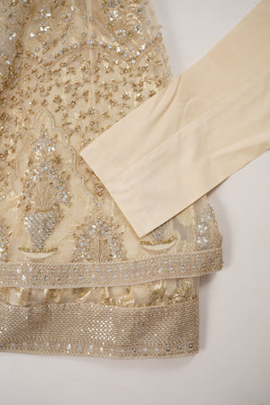 Tehwar - Luxury Organza Maxi  Outfit with Organza Dupatta - Ready to Wear MC297- Eid Volume 4