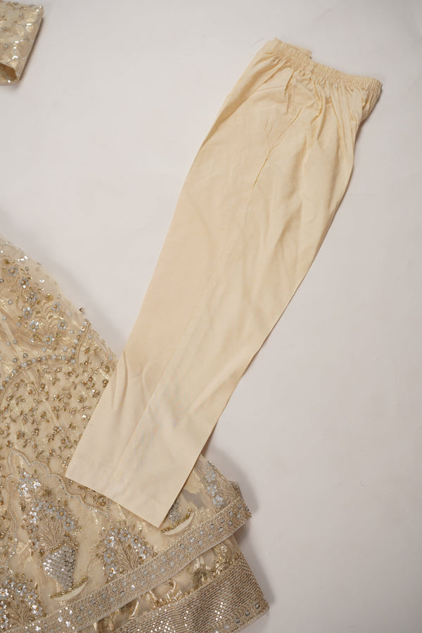 Tehwar - Luxury Organza Maxi  Outfit with Organza Dupatta - Ready to Wear MC297- Eid Volume 4