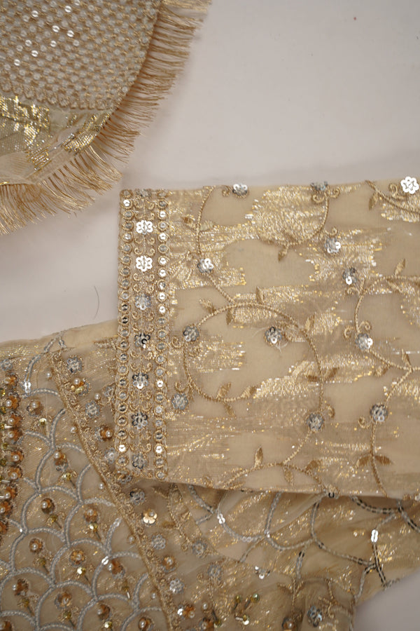 Tehwar - Luxury Organza Maxi  Outfit with Organza Dupatta - Ready to Wear MC297- Eid Volume 4