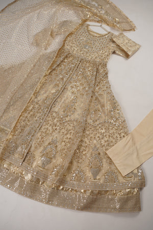 Tehwar - Luxury Organza Maxi  Outfit with Organza Dupatta - Ready to Wear MC297- Eid Volume 4