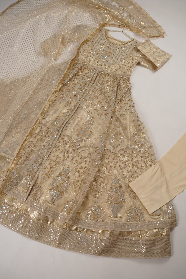 Tehwar - Luxury Organza Maxi  Outfit with Organza Dupatta - Ready to Wear MC297- Eid Volume 4