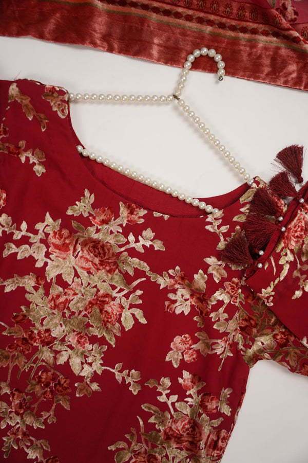 Rozi - Luxury Palachi  Outfit with Palachi Shawl SB237