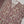 Tawakkal - Exclusive Lawn Outfit with Dupatta - Ready to Wear - SD317