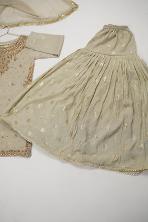 Khaas-Luxury Chiffon Outfit with chiffon Dupatta-Ready to Wear SD593