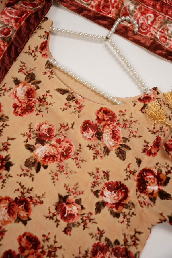 Rozi - Luxury Palachi  Outfit with Palachi Shawl SB231