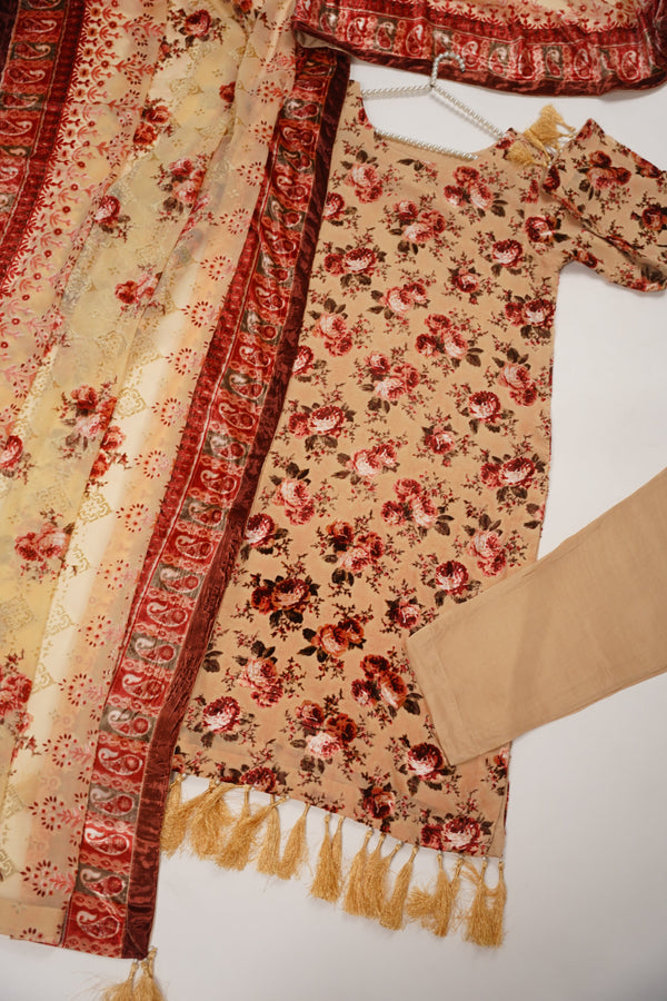 Rozi - Luxury Palachi  Outfit with Palachi Shawl SB231