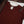 Bin Saeed Originals  - Exclusive Khaddar Outfit with  Shawl - Ready to Wear SD597