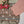 Load image into Gallery viewer, Tawakkal - Exclusive Lawn Outfit with Dupatta - Ready to Wear - SD325

