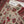 SadaBahar Originals - Exclusive Lawn Outfit with Dupatta - Ready to Wear - MC314- Eid Volume 5