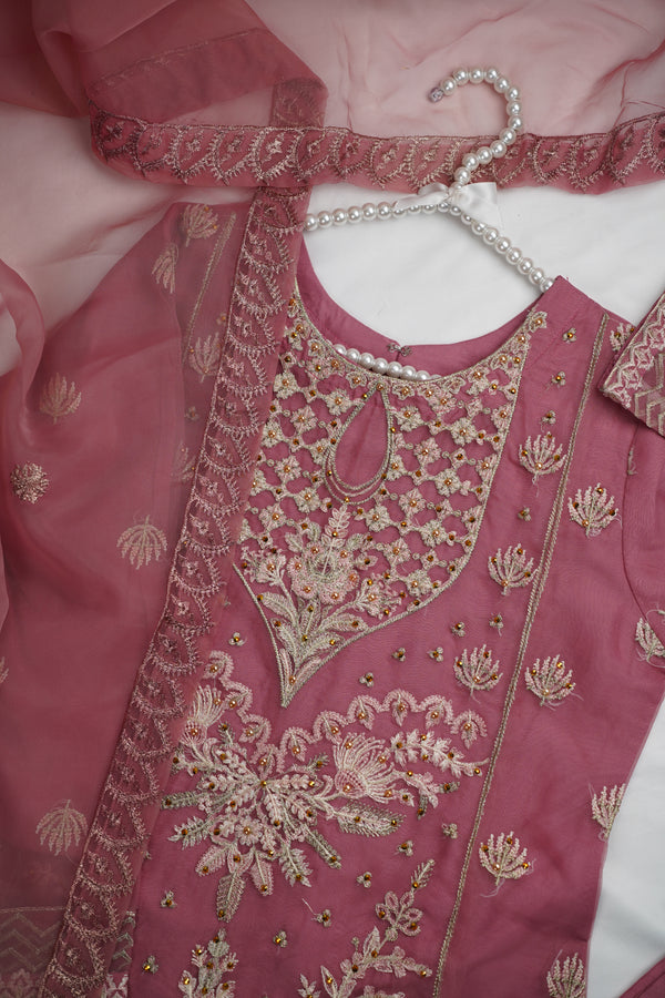 Minor Stain - Parishy 24  - Organza Embroidered and Handwork Suit - Ready to Wear