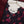 Bin Saeed Originals - Exclusive Lawn Outfit with Dupatta - Ready to Wear - MC327- Eid Volume 5