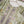 Load image into Gallery viewer, Rozi  - Exclusive Lawn  Outfit with Dupatta - Ready to Wear - SD358
