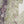Rozi  - Exclusive Lawn  Outfit with Dupatta - Ready to Wear - SD358