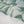 Load image into Gallery viewer, Rozi  - Exclusive Lawn  Outfit with Dupatta - Ready to Wear - SD359
