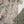 Rozi  - Exclusive Lawn  Outfit with Dupatta - Ready to Wear - SD362