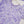Load image into Gallery viewer, Rozi  - Exclusive Lawn  Outfit with Dupatta - Ready to Wear - SD365

