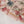 Load image into Gallery viewer, Rozi  - Exclusive Lawn  Outfit with Dupatta - Ready to Wear - SD366
